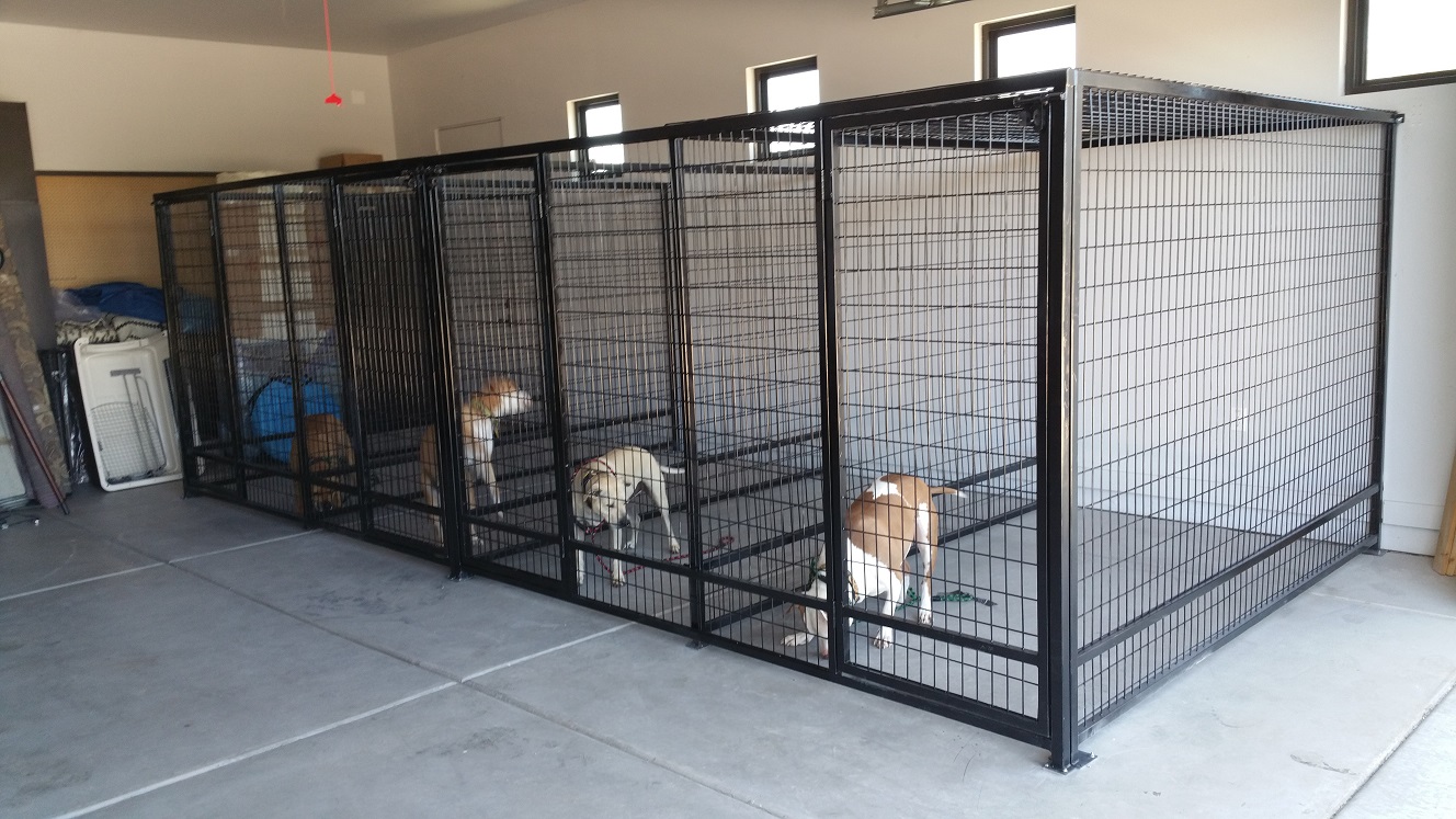 Kennels Keep Pets Safe From Coyotes